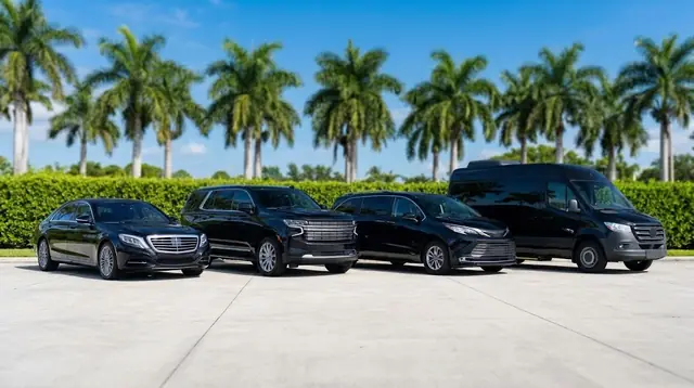 Four black vehicles parked in a row under palm trees: a sedan, an SUV, a minivan and a passenger van